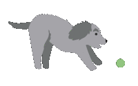 Dog_loading_gif
