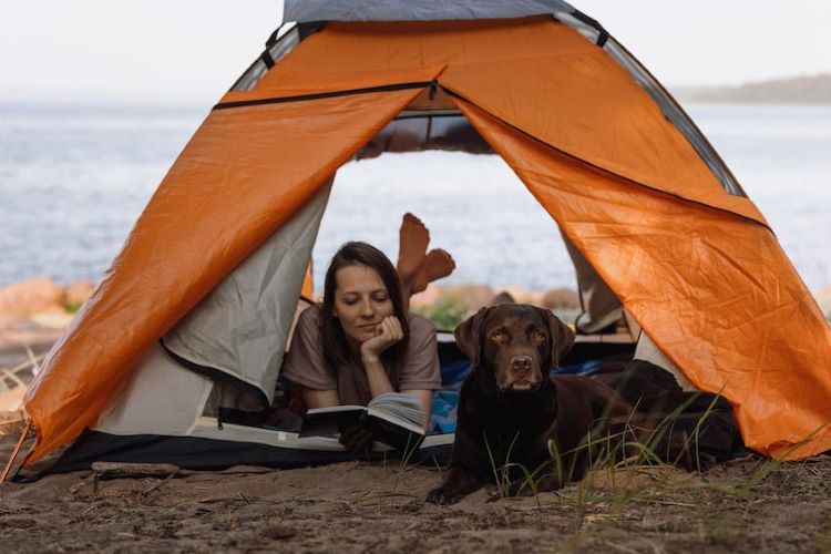 fille-dans-tente-avec-chien