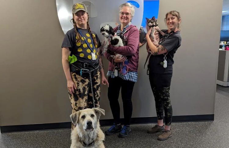 Trupanion dog walkers
