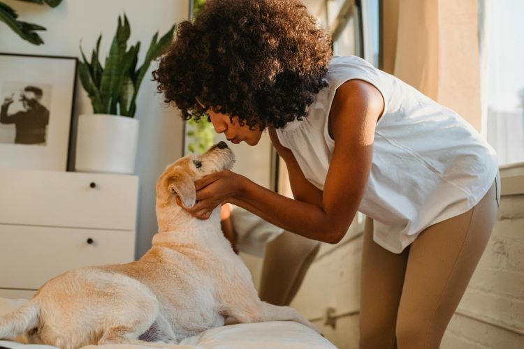 Female pet owner leaning down to kiss her dog who is laying on a clean bed.