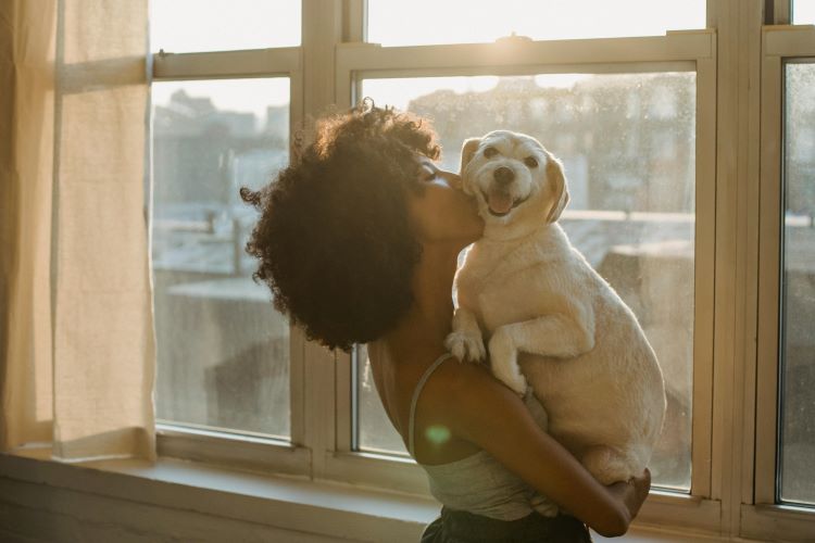 Chien propriétaire de l’animalpropriétaire d’animal de compagnie chien baiser