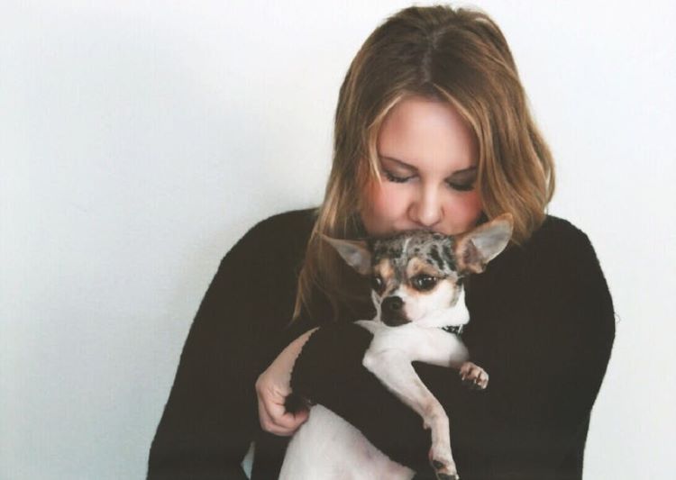 chihuahua-femme