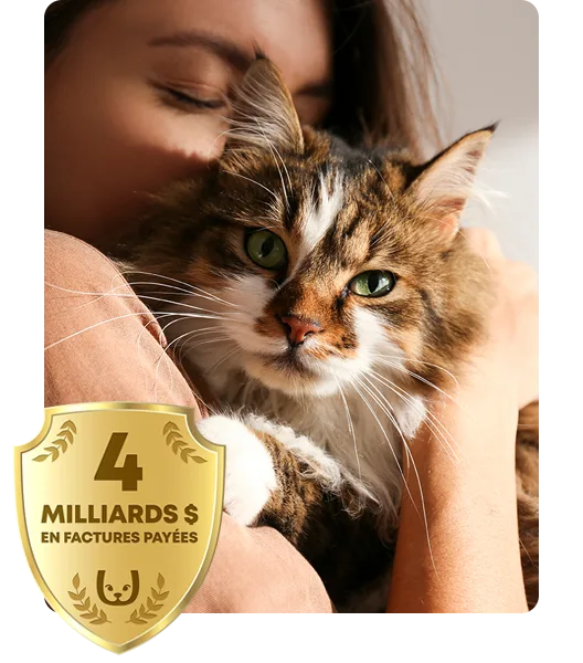 Femme câlinant un chat duveteux