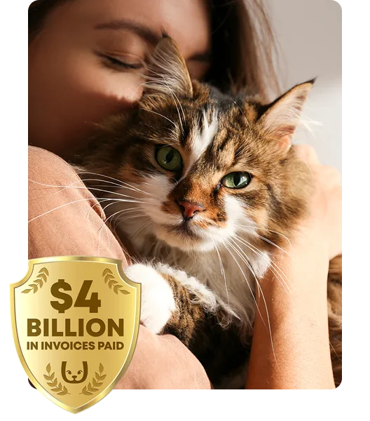 Woman snuggling a fluffy cat