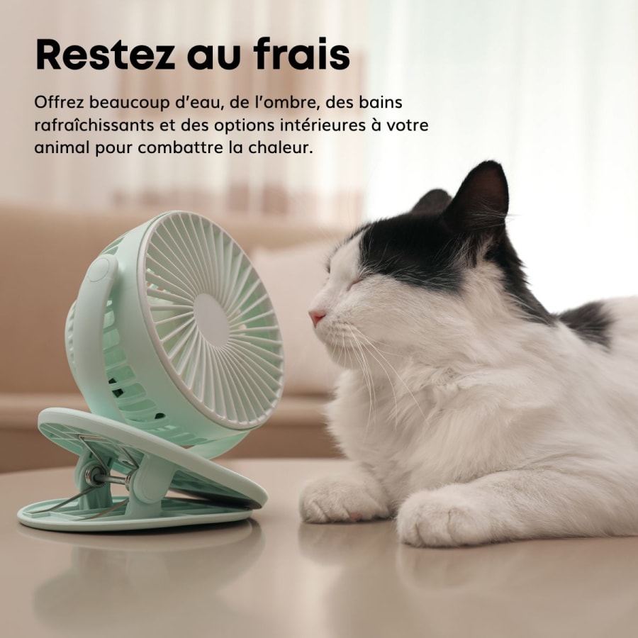 Restex au frais