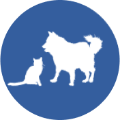 vet placeholder