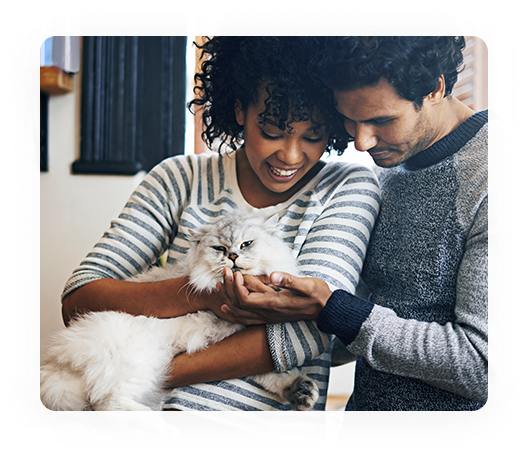 couple-snuggling-white-cat