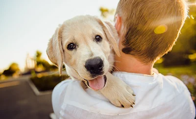 A man carrying a puppy on his shoulder