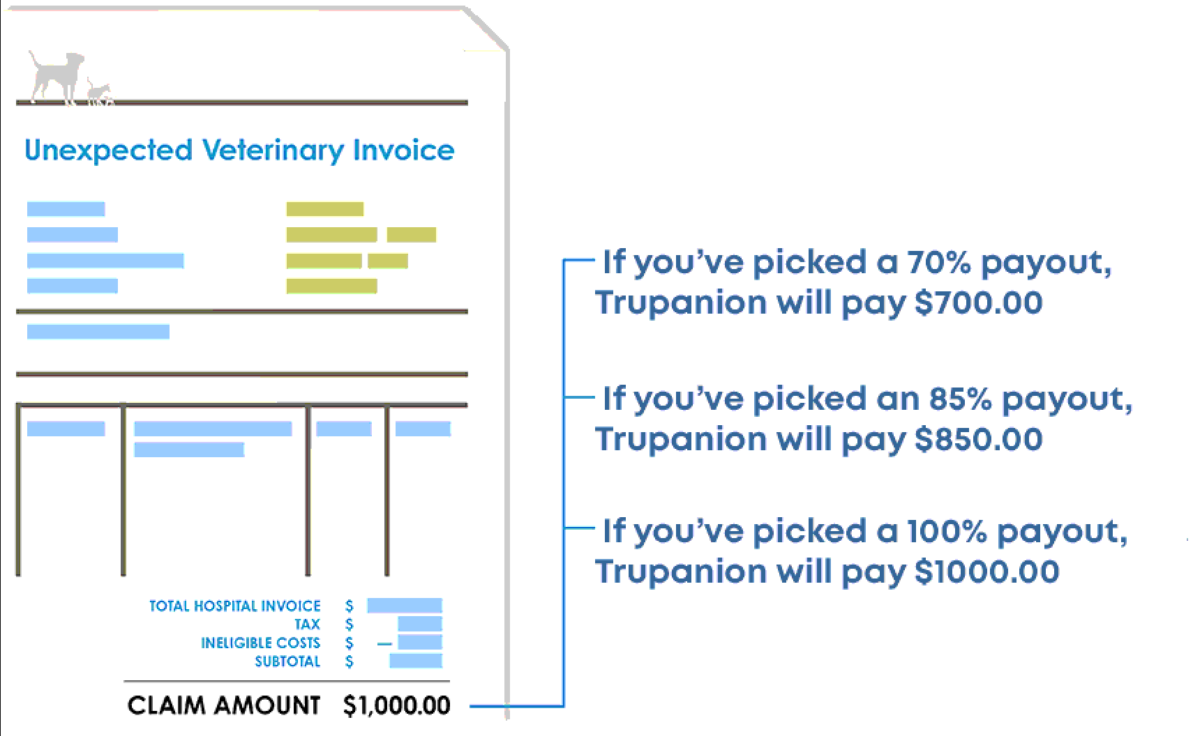 Sample unexpected vet invoice with claim amout of 1K. If 70% payout, Trupanion will pay $700