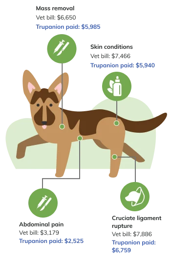 Price Factor Infographic Mobile