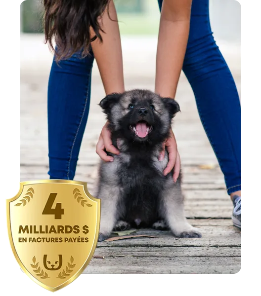 Une femme tapote un chiot, avec le badge de 2 milliards de dollars dans le coin