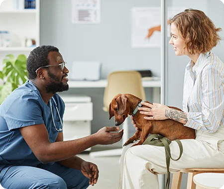 puppy with veterinarian