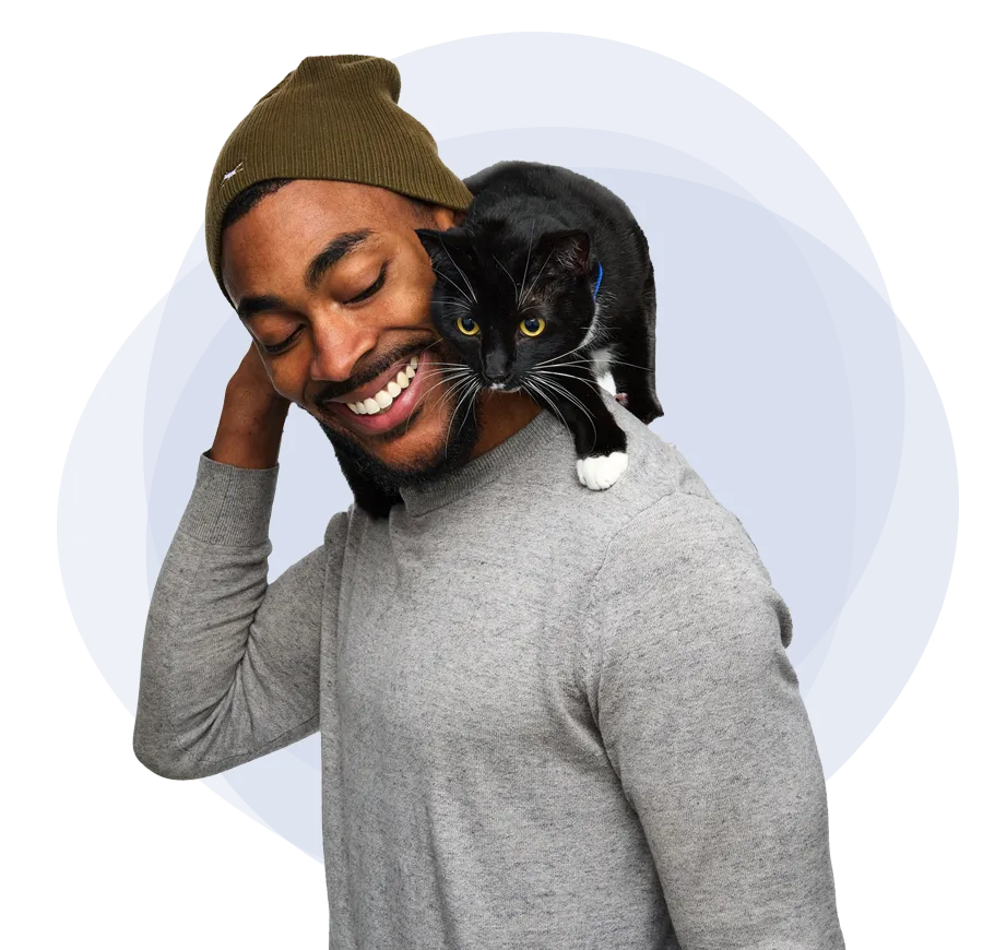 héros-comparer-homme-chat