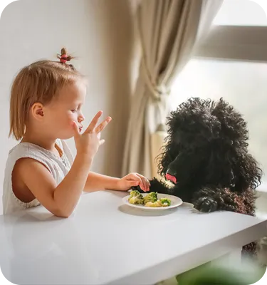 A toddler and a dog share a plate of broccoli