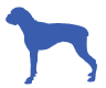 Boxer icon