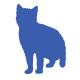 British Shorthair icon
