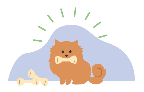 A dog with a bone