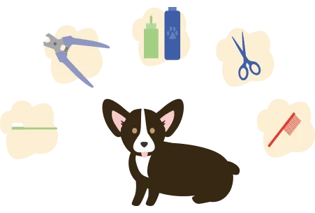 Illustration d’un chien avec des matériaux de toilettage flottant autour de sa tête