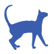 Siamese icon
