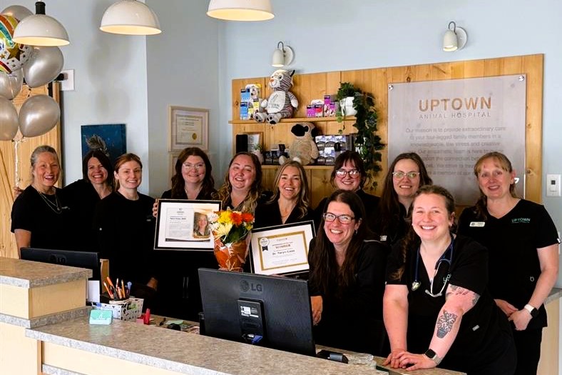 Uptown Animal Hospital Team
