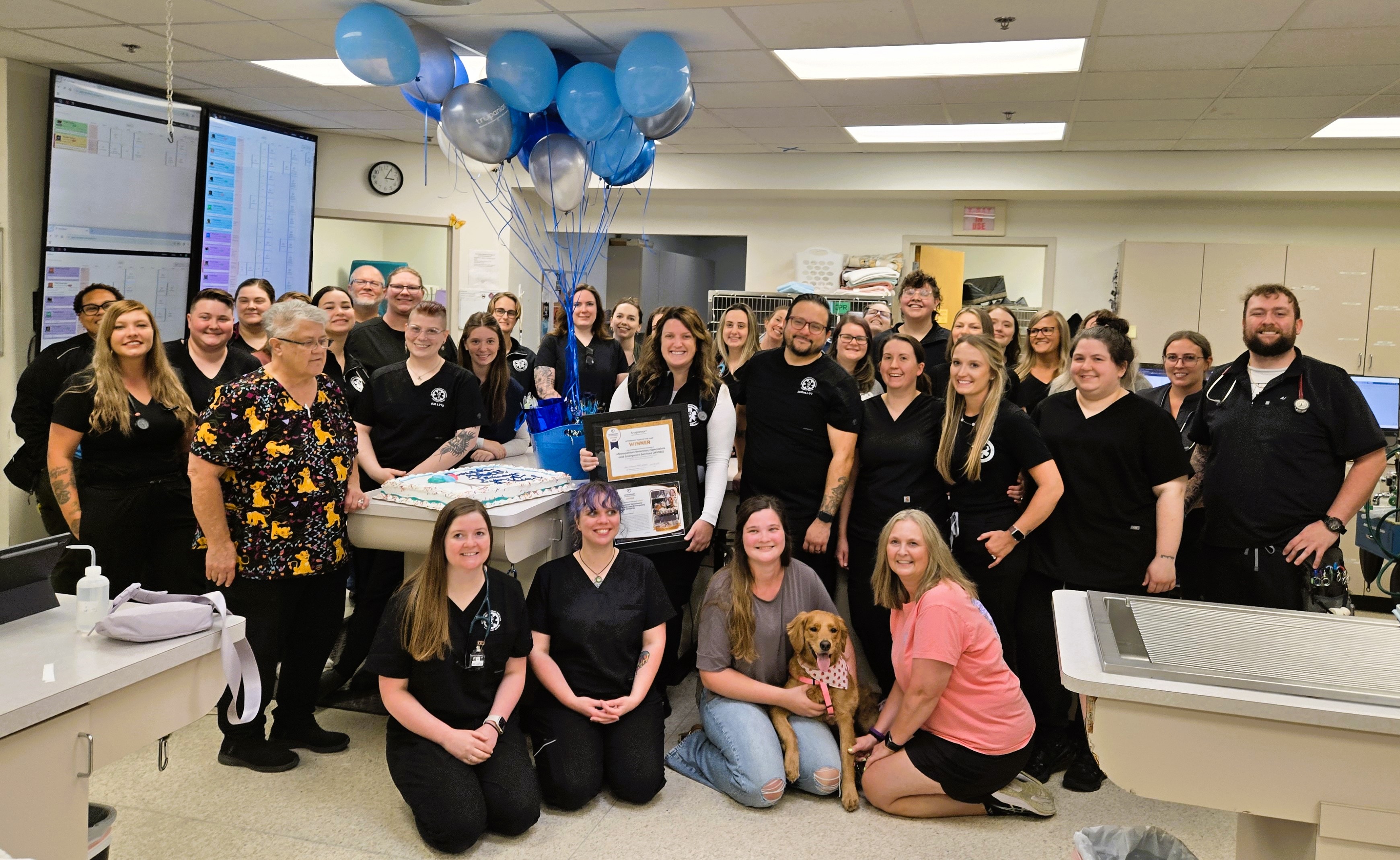 Metropolitan Veterinary Specialists and Emergency Service Team