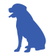 chien