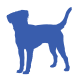 chien