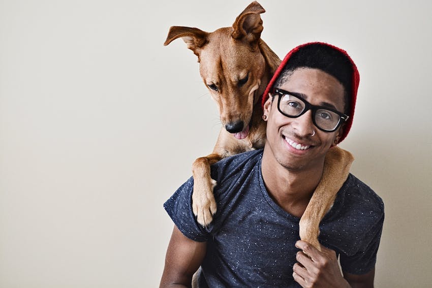 Conseils pour l’anxiété de séparation des chiens