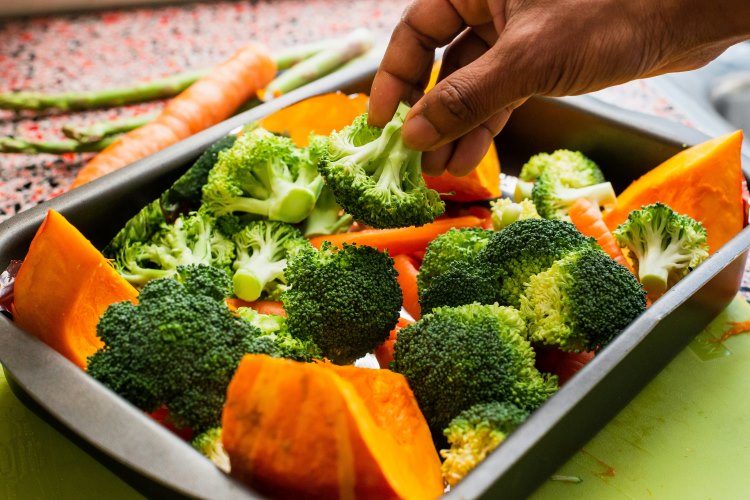 can-dogs-and-cats-be-vegetarian