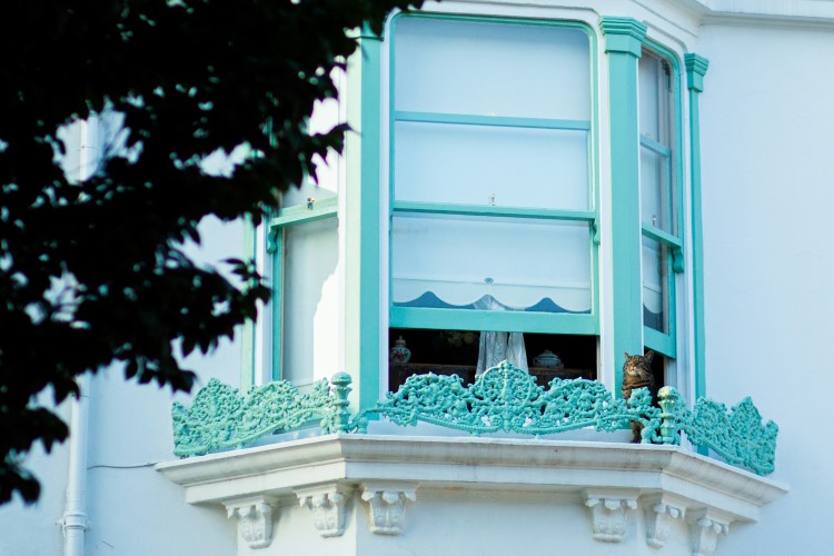 cat sitting on a window balcony