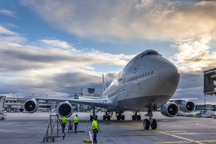 how-to-fly-with-a-dog