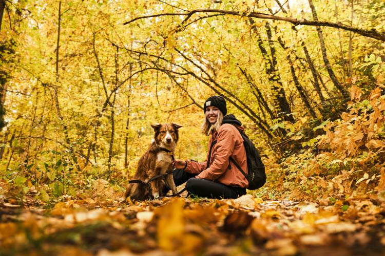 Chronic Conditions and Pet Insurance: A Friendly Guide for Pet Parents