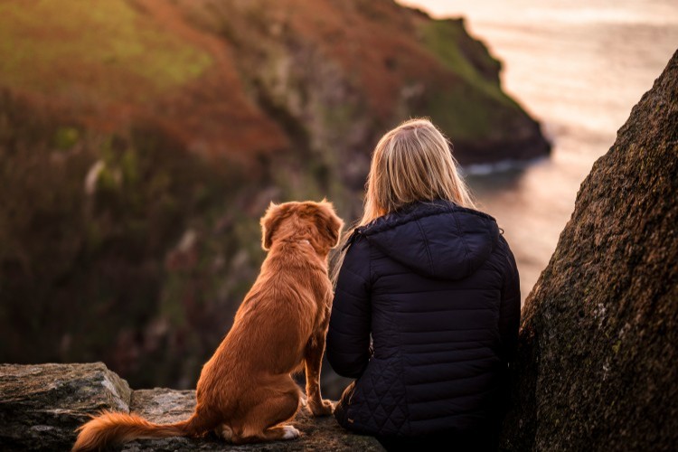woman and dog sitting on cliffside