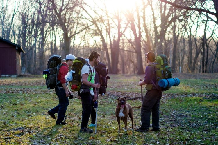 Family getting dog ready for a hike