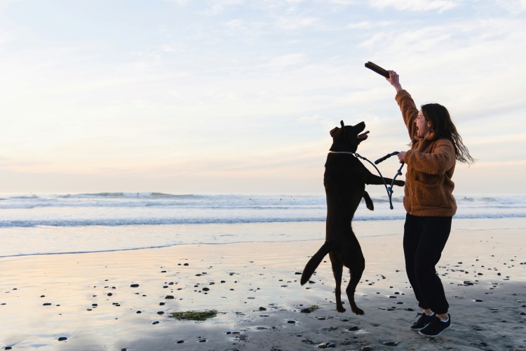 playing fetch with her dog on a beach
