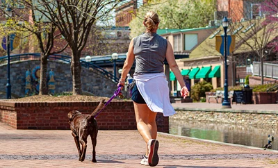 Woman walks her dog in a small town